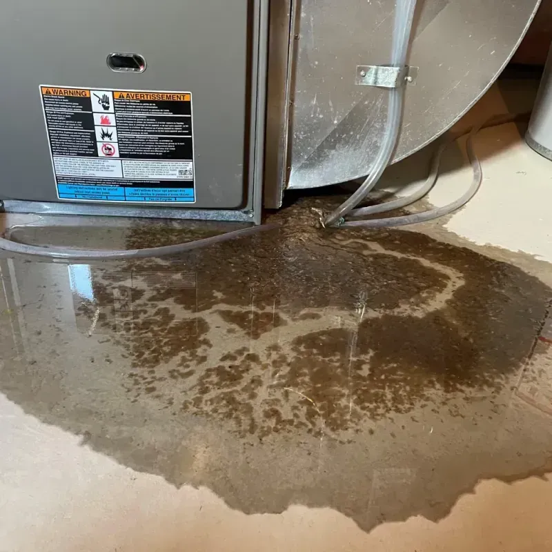 Appliance Leak Cleanup in Grafton, NH